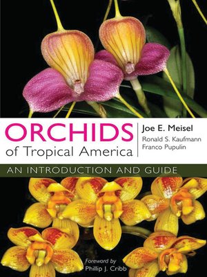 cover image of Orchids of Tropical America